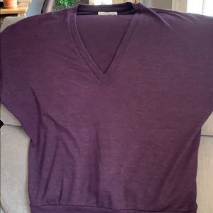 Aritzia. Wilfred free v neck sweater small